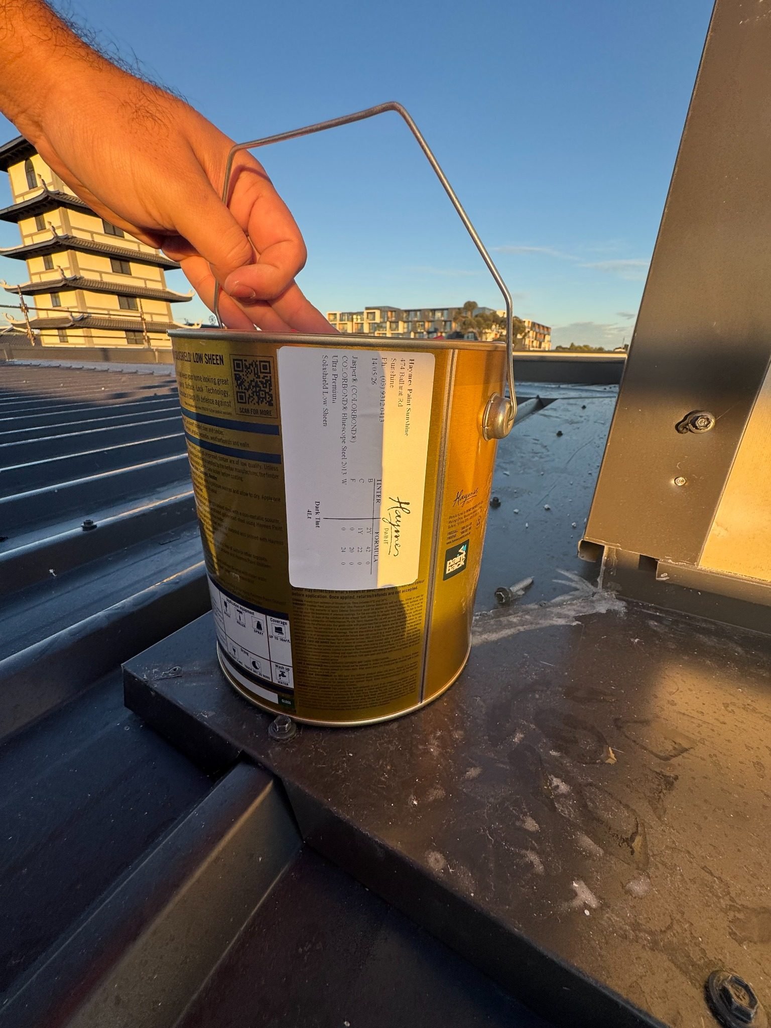 Roof Painting